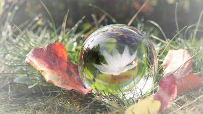 Herbst: Dankbarkeit und kleine Meditationsübung
